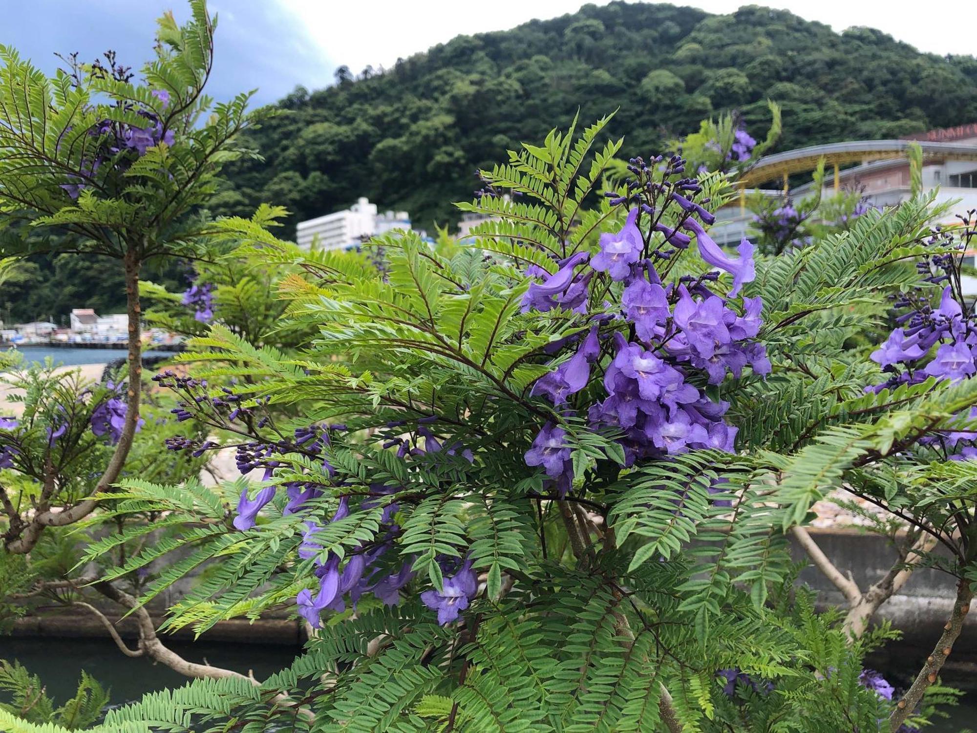 Rakuten Stay Atami ภายนอก รูปภาพ