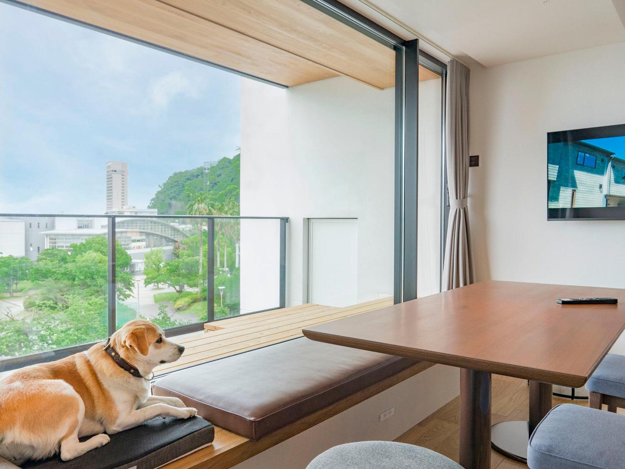 Rakuten Stay Atami ห้อง รูปภาพ
